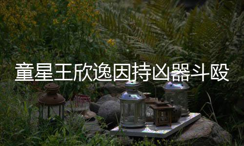 被判年人重童星殴致王欣逸因持凶器斗伤