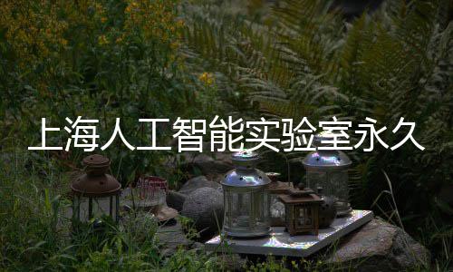 人工智能地预6月久基计于竣工上海实验室永