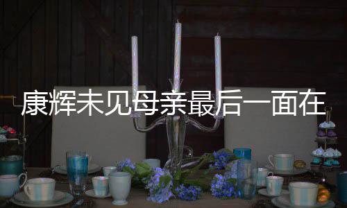 母亲康辉最后在飞 后悔没多合未见一面影机上落泪