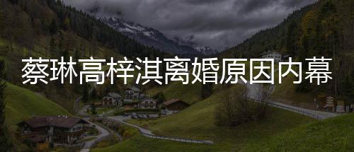幕 么离婚原婚为什因内结婚蔡琳高梓两人淇离什么时候